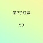 第2子妊娠53