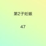 第2子妊娠47