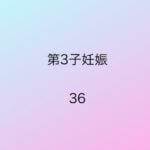 第3子妊娠36