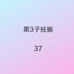 第3子妊娠37