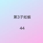 第3子妊娠44