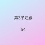 第3子妊娠54