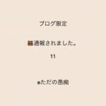 🐻、通報されました11